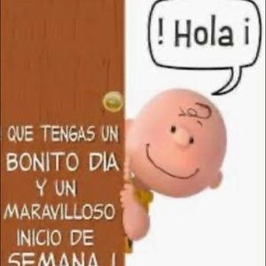 Meet your Posher, Oneida